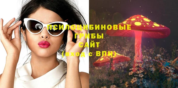 ГАЛЛЮЦИНОГЕННЫЕ ГРИБЫ Армянск